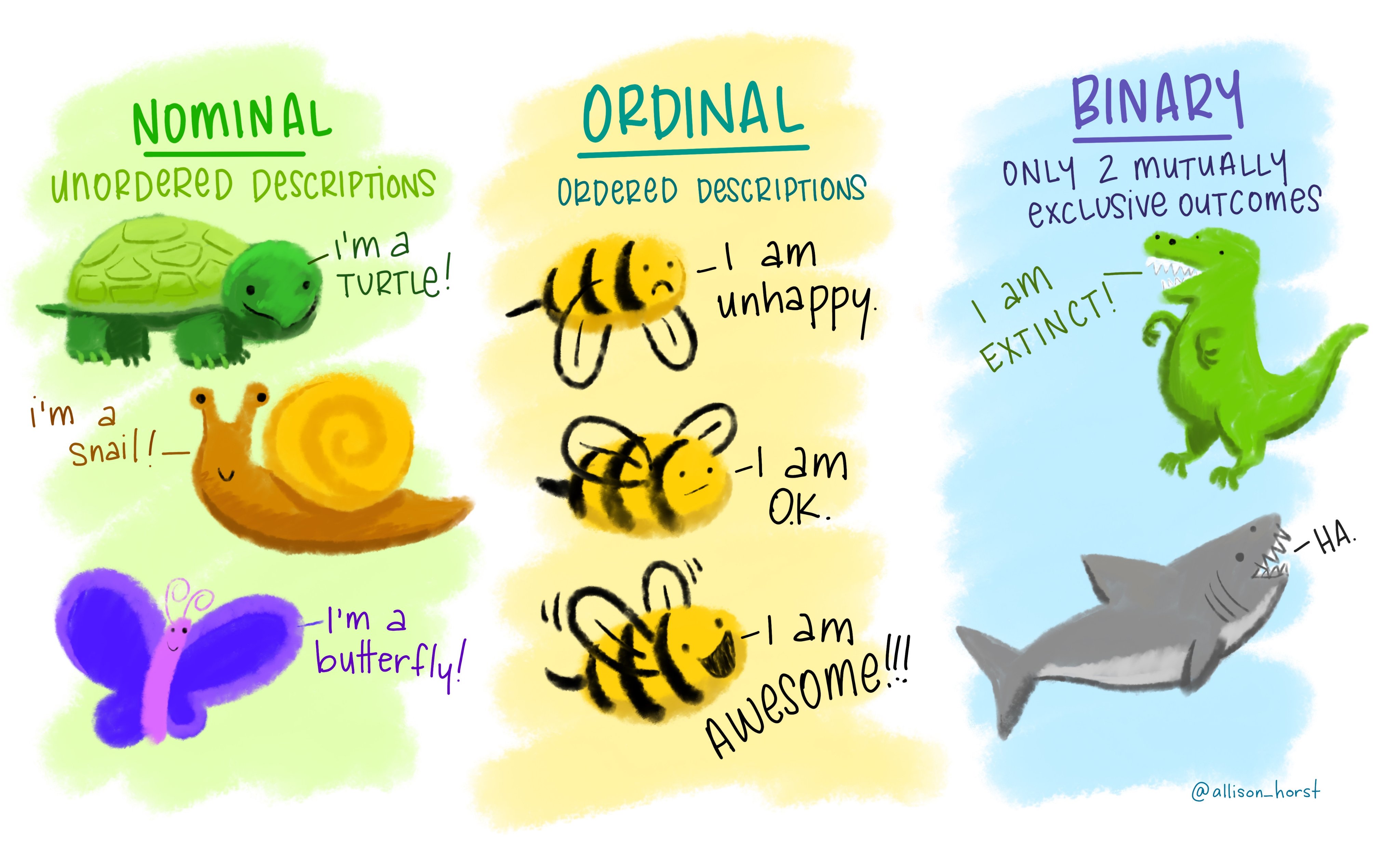 Examples of different kinds of (data) variables. Artwork by allison_horst.