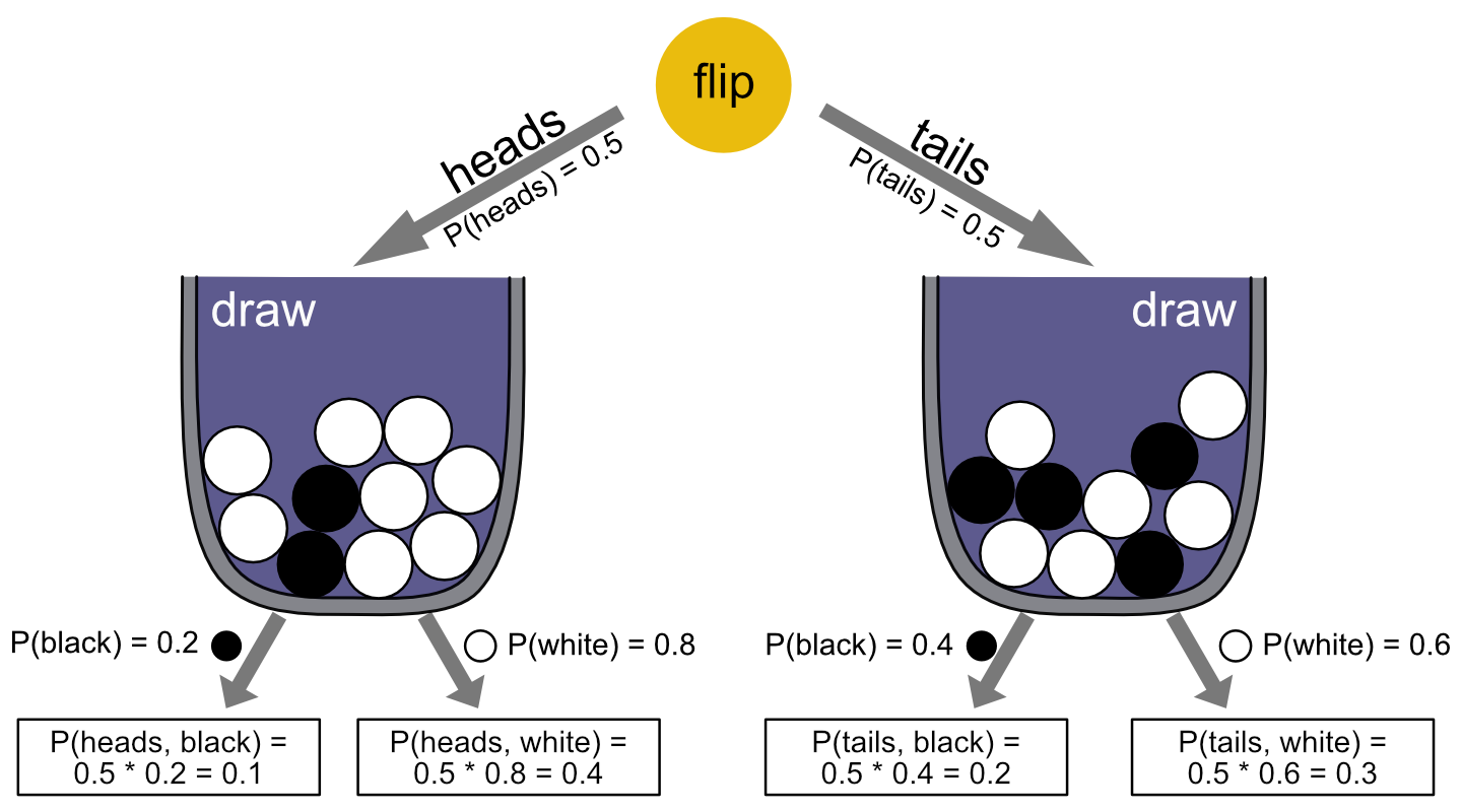 The flip-and-draw scenario, with transition and full path probabilities.